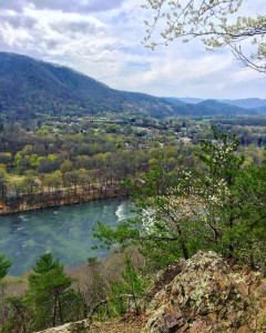 Sober Living Photos: Hike Above The French Broad Early Spring Has Sprung!